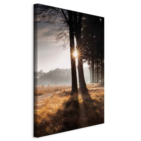 Obraz Jesteśmy promykiem 40 x 60 cm 606920