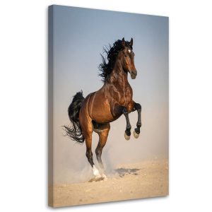 Obraz Koń galopujący na piasku do salonu sypialni kuchni biura 80×120 996130 Obraz Koń galopujący na piasku do salonu sypialni kuchni biura 80×120 996130