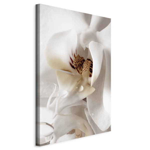 Obraz Kropla marzenia 40 x 60 cm 604093