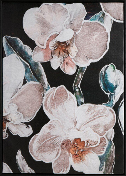 Obraz Kwiaty Orchidei 50x70 cm - Styl Glamour 723195
