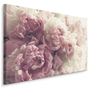 Obraz Kwitnące Kwiaty Piwonii 3D 100x70cm 102744 Obraz Kwitnące Kwiaty Piwonii 3D 100x70cm 102744