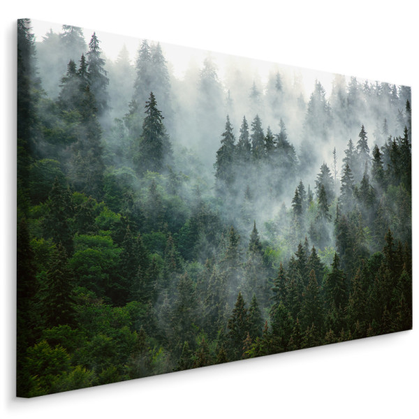 Obraz Las We Mgle 3D 120x80cm 102707