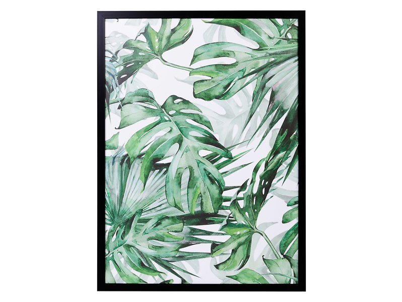 Obraz Liście Monstery 50x70 cm 47745