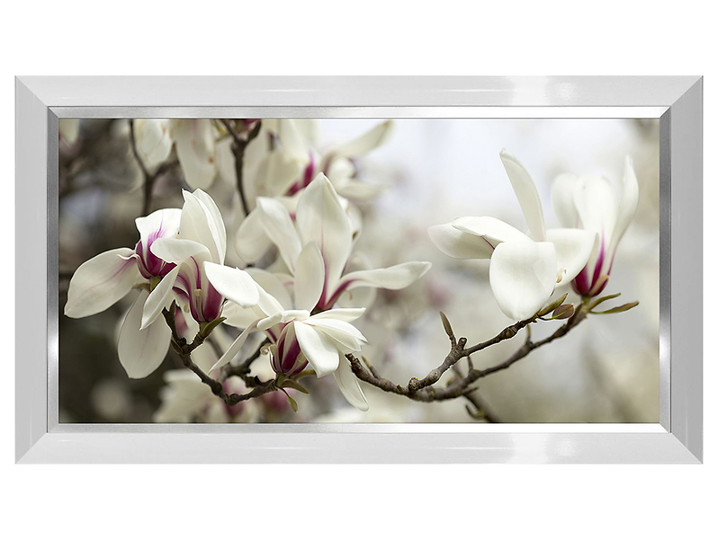 Obraz Magnolie 50x100 cm 23295