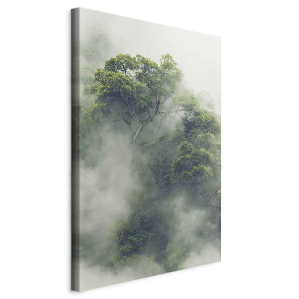 Obraz Mglista Amazonia 40 x 60 cm 608390