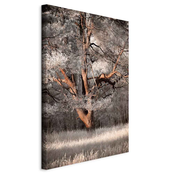 Obraz Moja historia 20 x 30 cm 603797