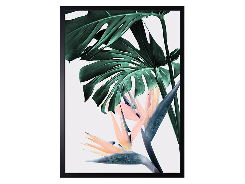 Obraz Monstera i Sterlicja No.1 50x70 cm 38060
