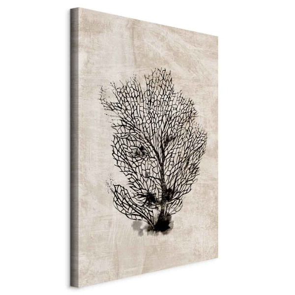 Obraz Morski wachlarz 40 x 60 cm 592730