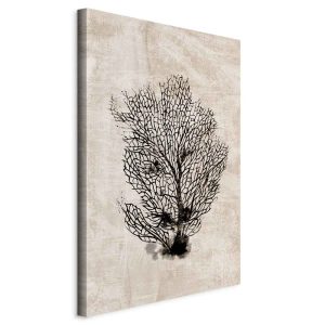Obraz Morski wachlarz 80 x 120 cm 605993 Obraz Morski wachlarz 80 x 120 cm 605993