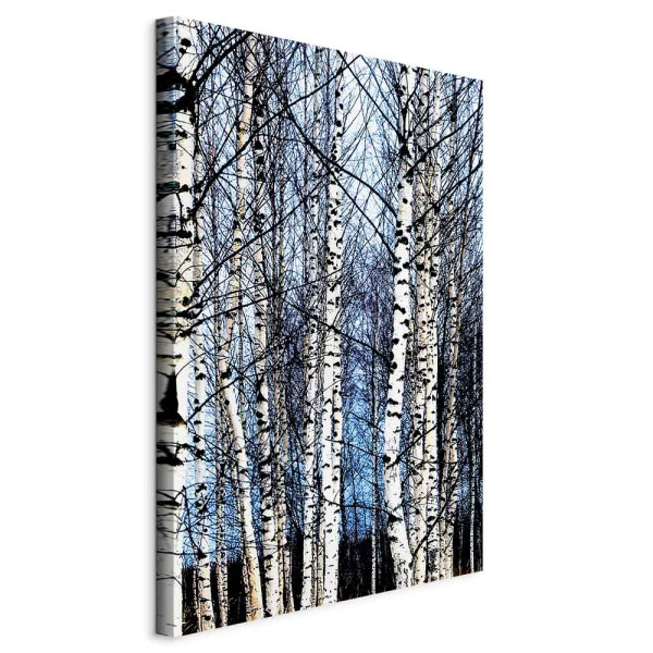 Obraz Mroźny styczeń 60 x 90 cm 598121