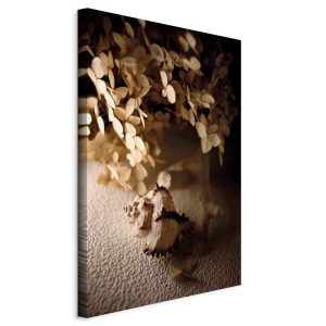 Obraz Muszla 80 x 120 cm 606699 Obraz Muszla 80 x 120 cm 606699