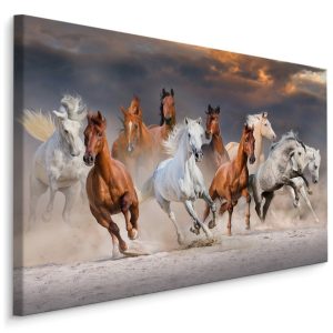Obraz Na Płótnie Konie Na Pustyni 90x60cm 784960 Obraz Na Płótnie Konie Na Pustyni 90x60cm 784960