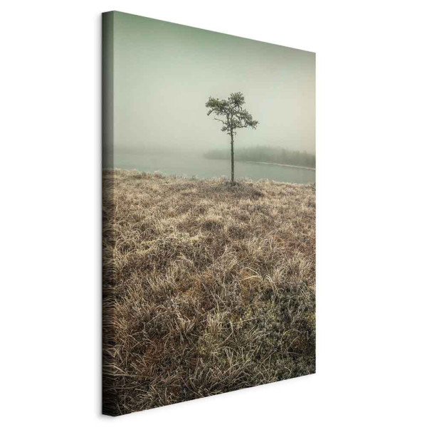 Obraz Nad brzegiem jeziora 40 x 60 cm 595435