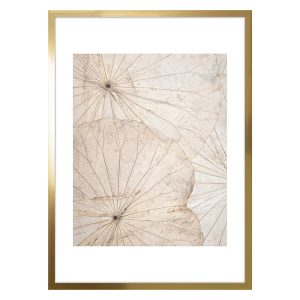 Obraz Nature No.2 50×70 cm 50072 Obraz Nature No.2 50×70 cm 50072