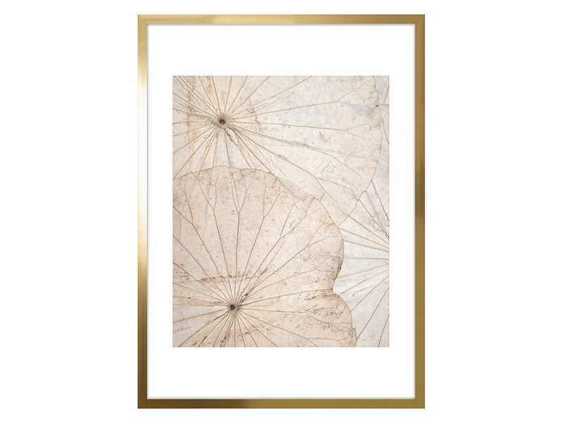 Obraz Nature No.2 50x70 cm 50072