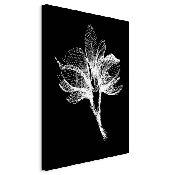 Obraz Nocny kwiat 60 x 90 cm 594514