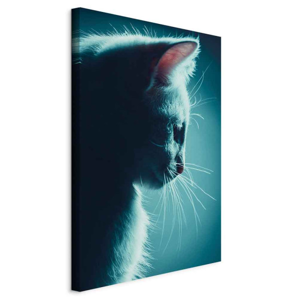 Obraz Nocny włóczęga 60 x 90 cm 606287