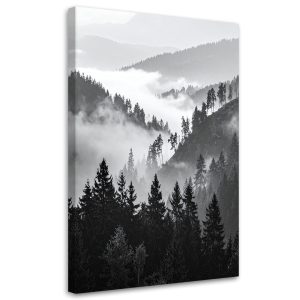 Obraz nowoczesny, Góry Las Drzewa Czarno Biały 60×90 885634 Obraz nowoczesny, Góry Las Drzewa Czarno Biały 60×90 885634