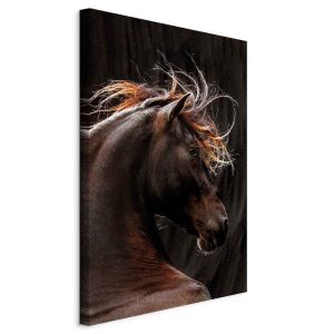 Obraz Ognisty wiatr 60 x 90 cm 607786 Obraz Ognisty wiatr 60 x 90 cm 607786