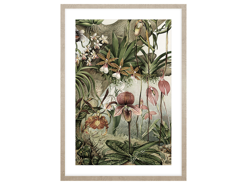 Obraz Orchidea I 50x70 cm 193777