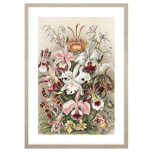 Obraz Orchidea II 50×70 cm 193778