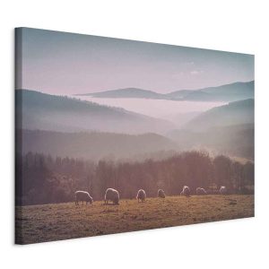 Obraz Owce w naturze 90 x 60 cm 605520