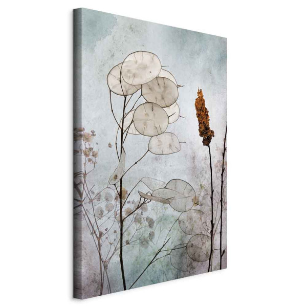 Obraz Owoce lunarii 80 x 120 cm 607285
