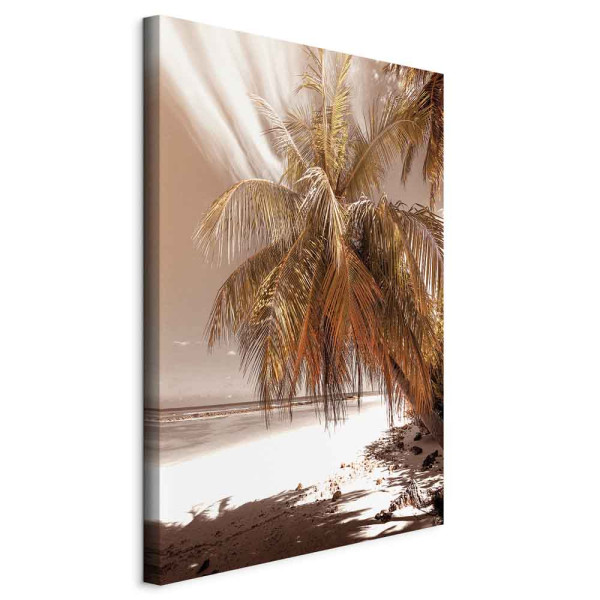 Obraz Palmowy cień 40 x 60 cm 592591