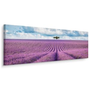 Obraz Panoramiczny Barwne Pole Lawendy 145x45cm 186578 Obraz Panoramiczny Barwne Pole Lawendy 145x45cm 186578