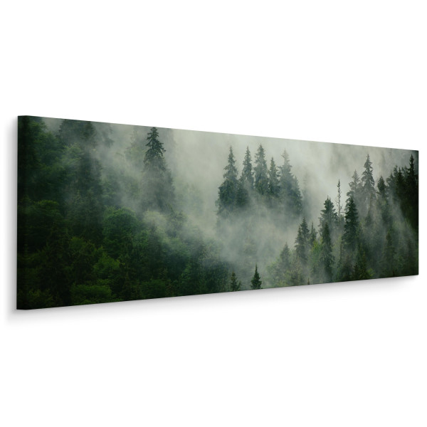 Obraz Panoramiczny Las We Mgle Efekt 3D 145x45cm 186566