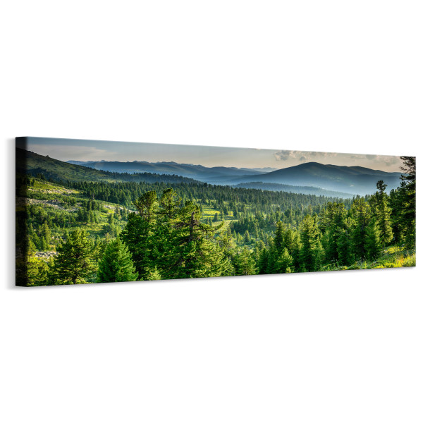 Obraz Panoramiczny Leśny Krajobraz 145x45cm 202855
