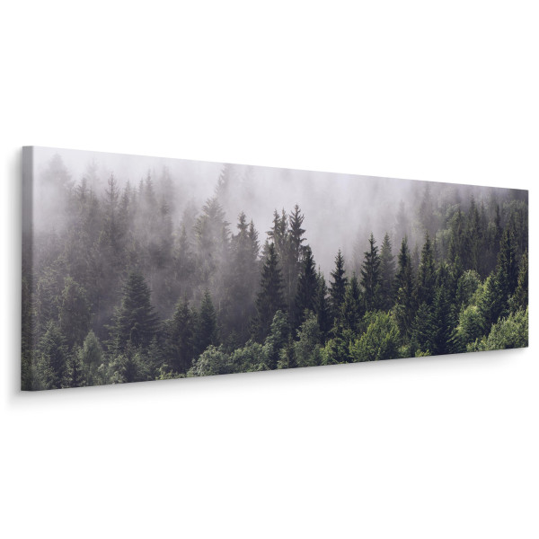Obraz Panoramiczny Mglisty Las 145x45cm 186570
