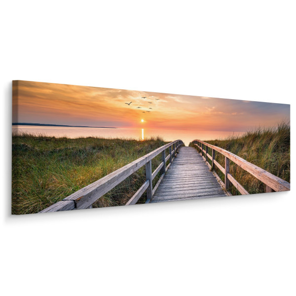 Obraz Panoramiczny Wydmy Wzdłuż Morza Północnego 145x45cm 186575
