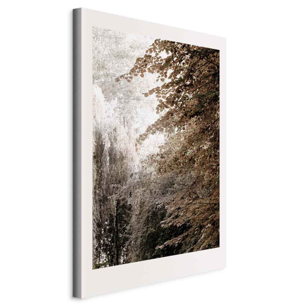 Obraz Park w sepii 40 x 60 cm 596537