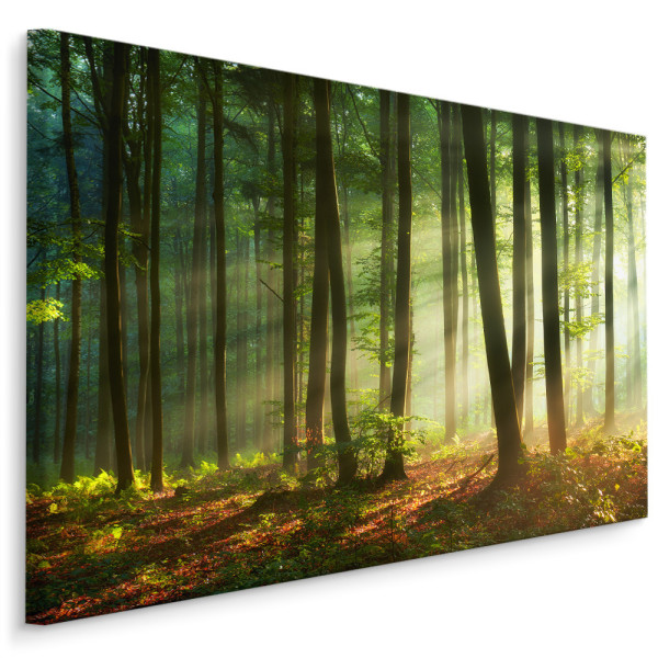 Obraz piękny poranek w lesie 100x70cm 787279
