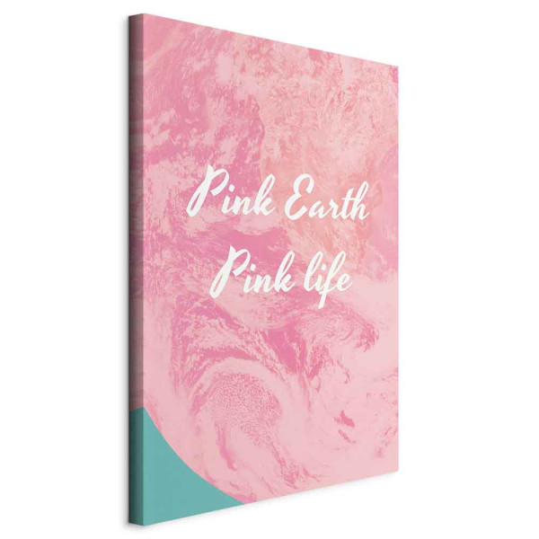 Obraz Pink 40 x 60 cm 607960