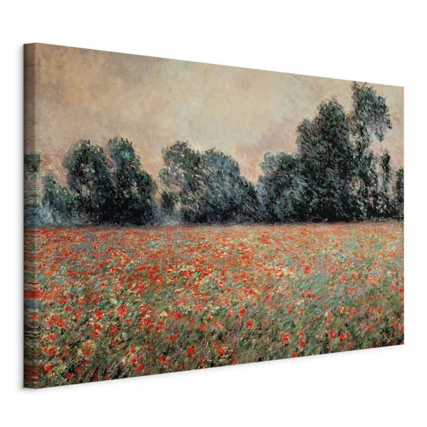 Obraz Pole dzikich maków 120 x 80 cm 606738