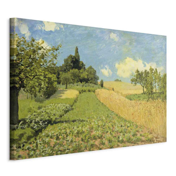 Obraz Pole pszenicy 60 x 40 cm 594354