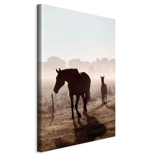 Obraz Poranek wspomnień 40 x 60 cm 593510