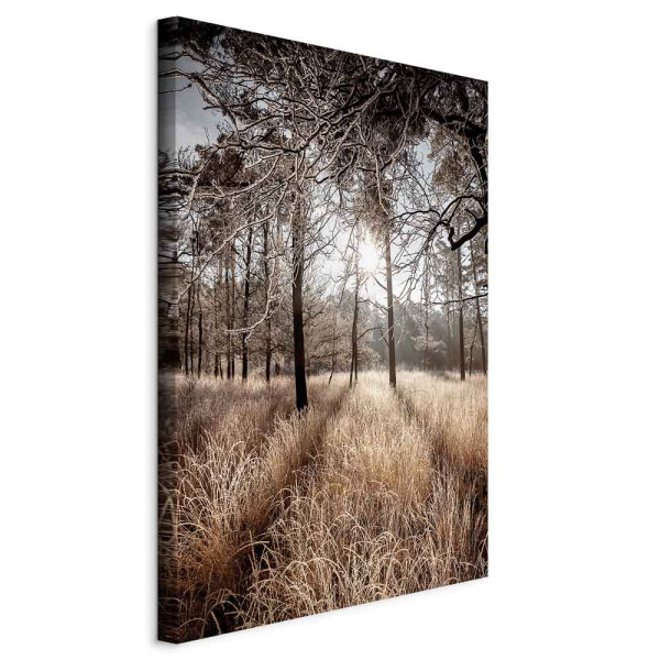 Obraz Prosto w miłość 80 x 120 cm 598935