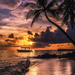 Ręcznik kąpielowy plażowy 100×180 Plaża 730303 Ręcznik kąpielowy plażowy 100×180 Plaża 730303