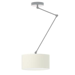 Regulowana lampa sufitowa NEWA design industrialny Srebrny/ Ecru 905176