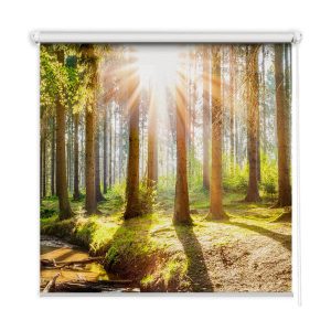 Roleta wewnętrzna – 100×100 cm -Promienie słońca w drzewach 467458 Roleta wewnętrzna – 100×100 cm -Promienie słońca w drzewach 467458