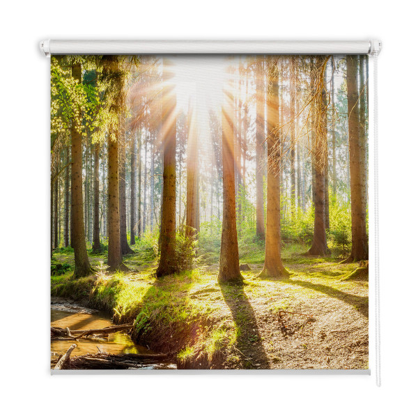 Roleta wewnętrzna - 100x100 cm -Promienie słońca w drzewach 467458