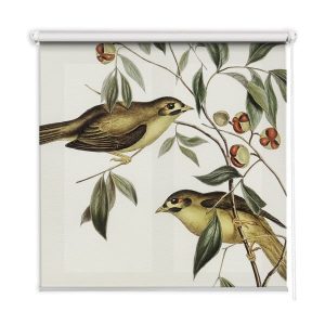 Roleta wewnętrzna – 110×240 cm -Ptaki Na Drzewie 468277 Roleta wewnętrzna – 110×240 cm -Ptaki Na Drzewie 468277